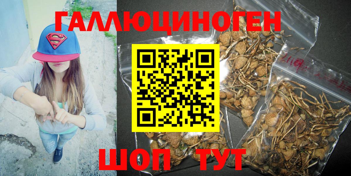 Галлюциногенные грибы GOLDEN TEACHER  Вход с VPN  Семилуки  Галлюциногенные грибы Psilocybine cubensis 